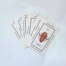 Load image into Gallery viewer, MAGIC ORACLE CARDS - SEMRA HAKSEVER