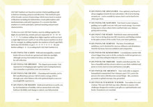 Load image into Gallery viewer, THE FASHION ORACLE