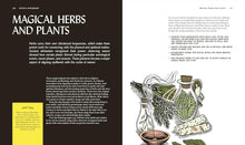 Load image into Gallery viewer, THE BOOK OF WITCHCRAFT