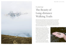 Load image into Gallery viewer, THE SLOW TRAVELLER