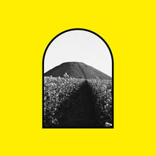 Load image into Gallery viewer, KEEP WALKING WEIRD