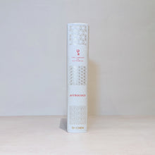 Load image into Gallery viewer, ASTROLOGY- THE LIBRARY OF ESOTERICA