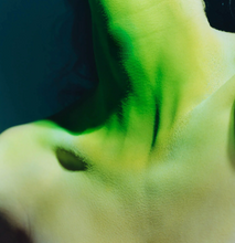 Load image into Gallery viewer, VYRAO - I AM VERDANT - 30ML