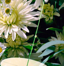 Load image into Gallery viewer, VYRAO - VERDANT INCENSE