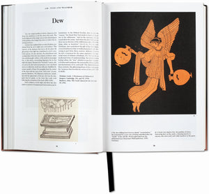THE BOOK OF SYMBOLS - REFLECTIONS ON ARCHETYPAL IMAGES
