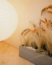 Load image into Gallery viewer, SLC COLLECTIVE VENUE HIRE