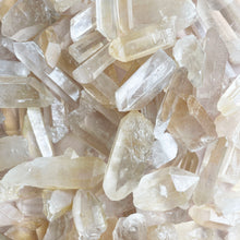 Load image into Gallery viewer, GOLDEN HEALER POINTS