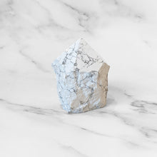 Load image into Gallery viewer, WHAT'S THE POINT? - HOWLITE