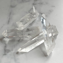 Load image into Gallery viewer, AAA COLUMBIAN LEMURIANS