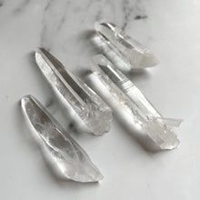 Load image into Gallery viewer, AAA COLUMBIAN LEMURIANS