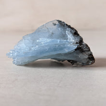 Load image into Gallery viewer, MOROCCAN BLUE BARITE - COLLECTORS SPECIMEN