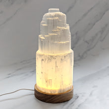 Load image into Gallery viewer, SELENITE LAMPS