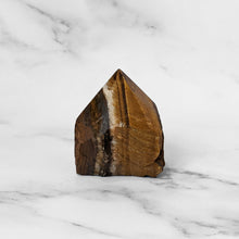 Load image into Gallery viewer, WHAT'S THE POINT? - TIGERS EYE