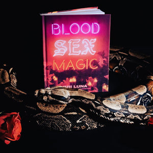 BLOOD SEX MAGIC: EVERYDAY MAGIC FOR THE MODERN MYSTIC: A WITCHCRAFT SPELLBOOK