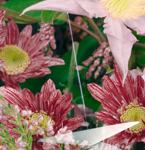 Load image into Gallery viewer, VYRAO - WITCHY WOO INCENSE
