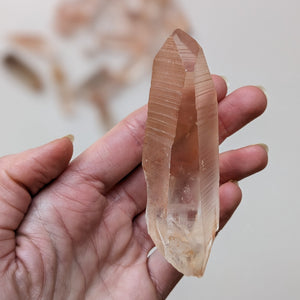 SALMON LEMURIAN STATEMENT POINTS