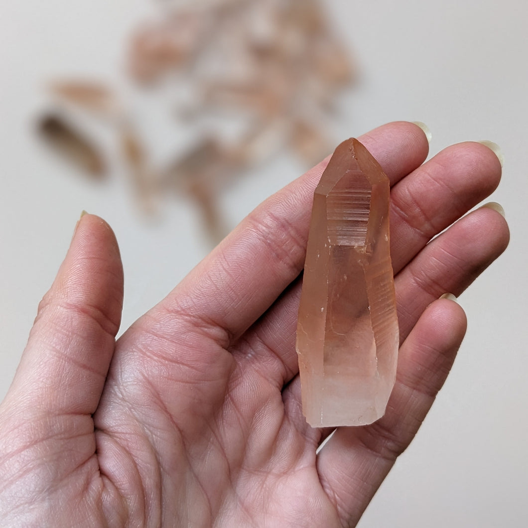 SALMON LEMURIAN STATEMENT POINTS