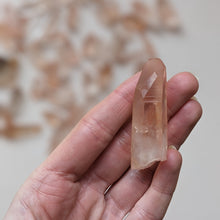 Load image into Gallery viewer, SALMON LEMURIAN POINTS
