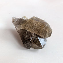 Load image into Gallery viewer, SMOKEY GOLDEN RUTILE POINTS

