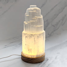 Load image into Gallery viewer, SELENITE LAMPS
