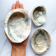 Load image into Gallery viewer, ABALONE SHELL SAGE BOWL
